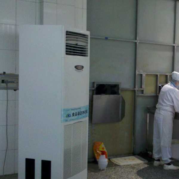 盐城食品正负离子空气杀菌器